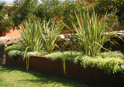 areca, jardinería y paisajismo