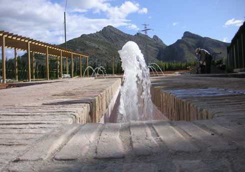 areca, jardinería y paisajismo