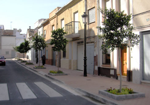 areca, jardinería y paisajismo