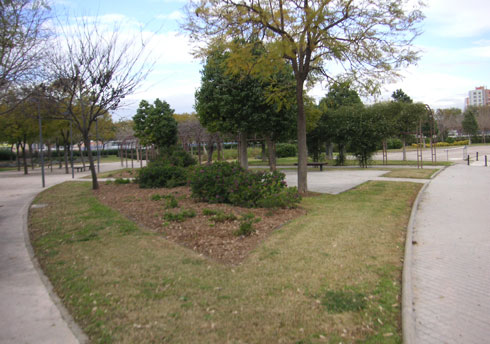 areca, jardinería y paisajismo