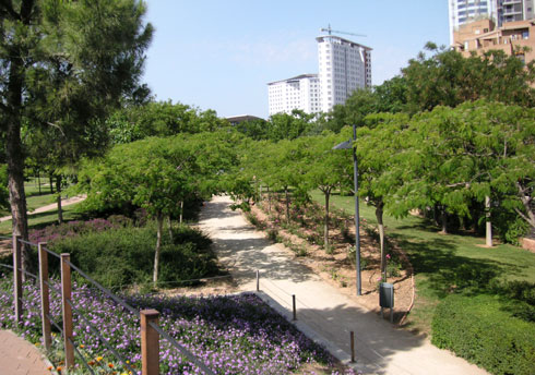 areca, jardinería y paisajismo