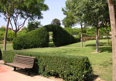 areca, jardinería y paisajismo